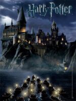 Dėlionė World of Harry Potter Collector's
