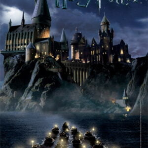 Dėlionė World of Harry Potter Collector's