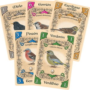 Piepmatz - Little Songbirds