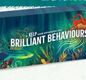 Kelp: Brilliant Behaviours