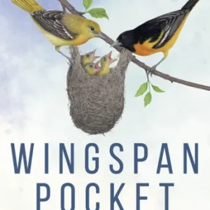 Wingspan Pocket
