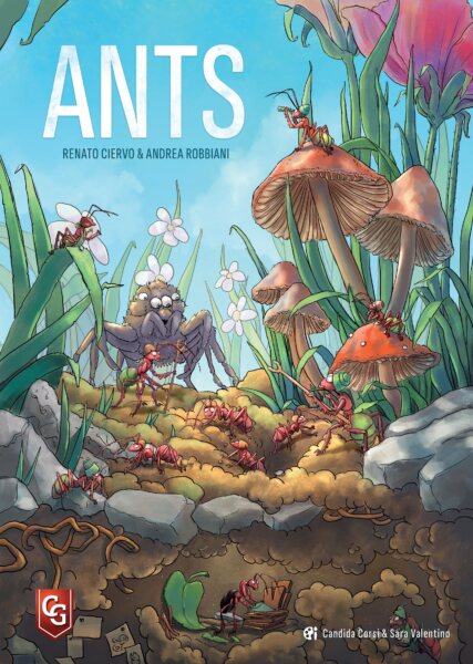 Ants Ants